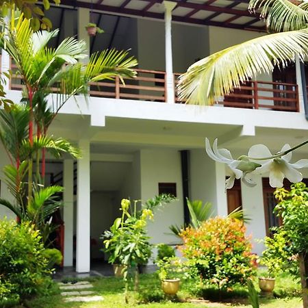 Splendid Lodge Mirissa Exterior photo