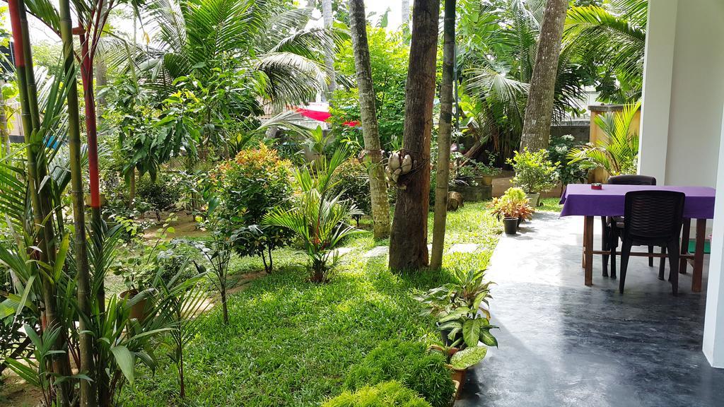 Splendid Lodge Mirissa Exterior photo